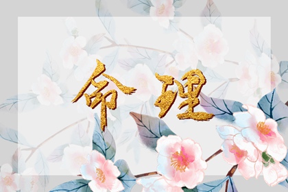 农历查询|日历农历阳历转换查询|农历查询网